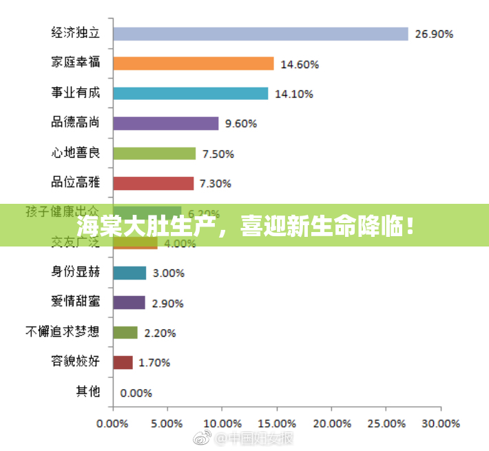 海棠大肚生产，喜迎新生命降临！