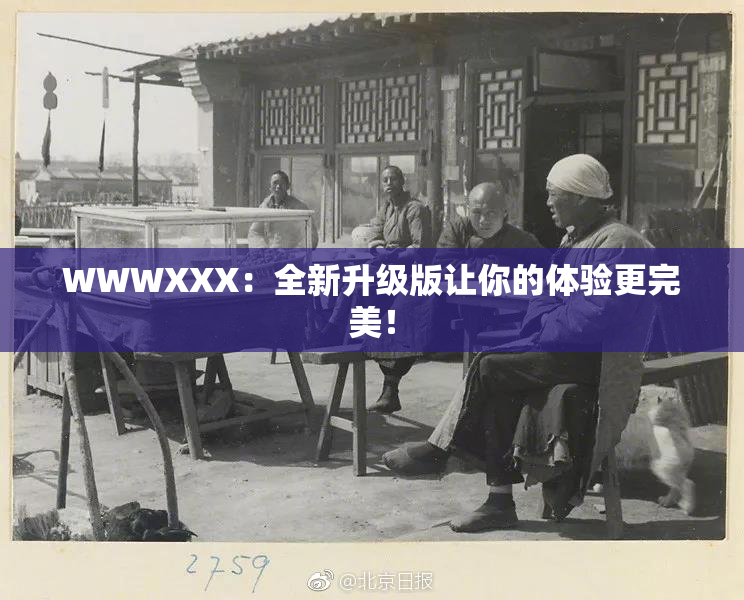 WWWXXX：全新升级版让你的体验更完美！