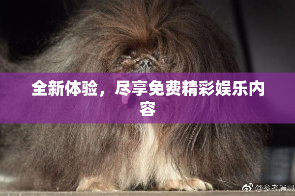全新体验，尽享免费精彩娱乐内容