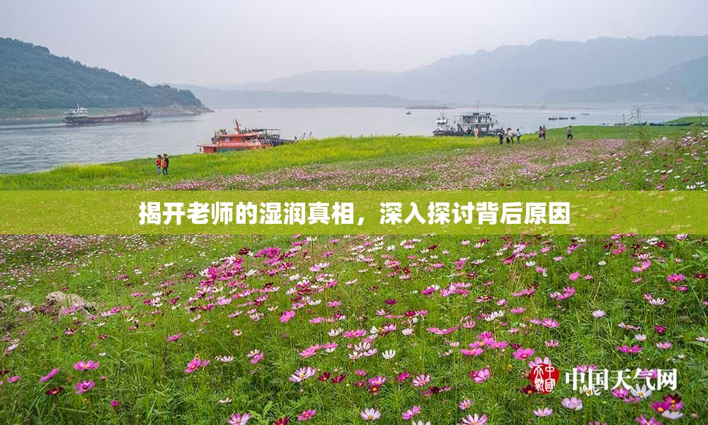 揭开老师的湿润真相，深入探讨背后原因