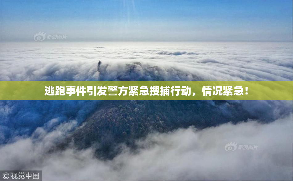 逃跑事件引发警方紧急搜捕行动，情况紧急！
