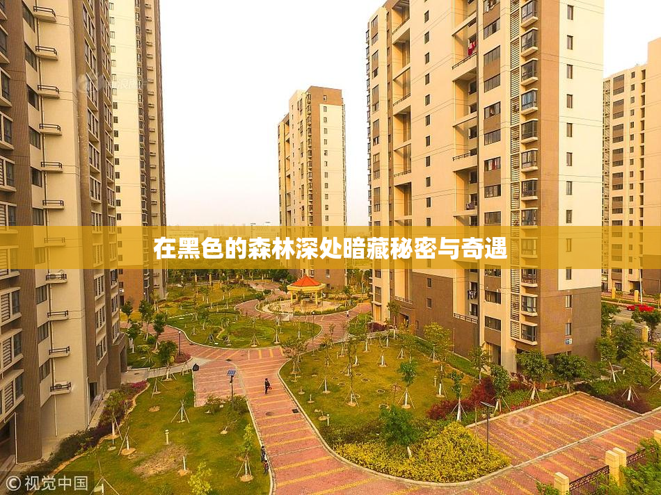 在黑色的森林深处暗藏秘密与奇遇