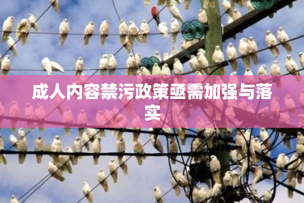 成人内容禁污政策亟需加强与落实