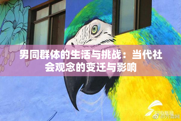 男同群体的生活与挑战：当代社会观念的变迁与影响