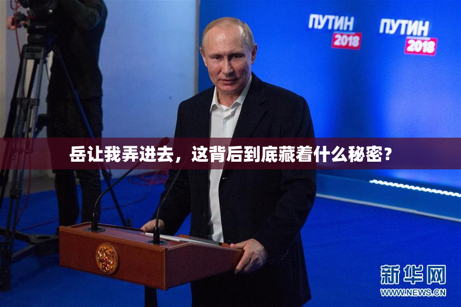 岳让我弄进去，这背后到底藏着什么秘密？