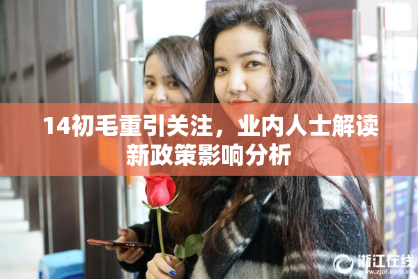 14初毛重引关注，业内人士解读新政策影响分析
