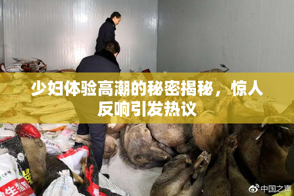 少妇体验高潮的秘密揭秘，惊人反响引发热议