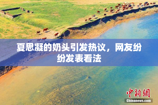 夏思凝的奶头引发热议，网友纷纷发表看法