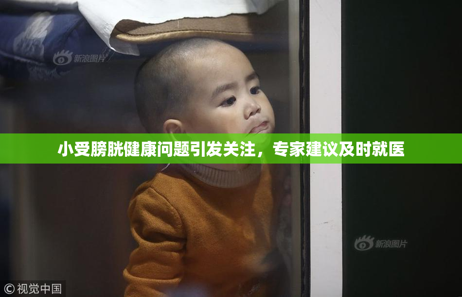 小受膀胱健康问题引发关注，专家建议及时就医