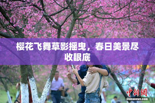 樱花飞舞草影摇曳，春日美景尽收眼底