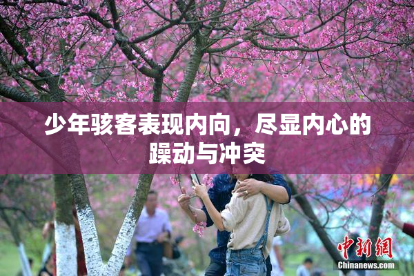 少年骇客表现内向，尽显内心的躁动与冲突