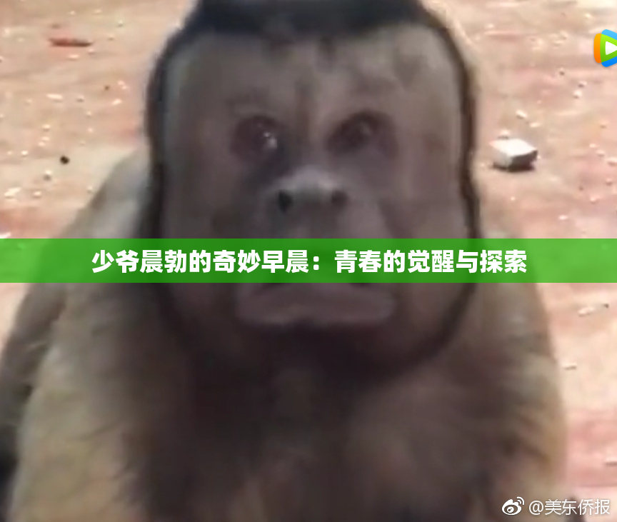 少爷晨勃的奇妙早晨：青春的觉醒与探索