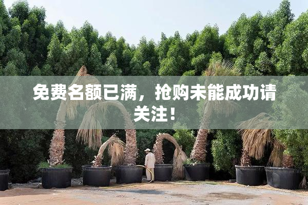 免费名额已满，抢购未能成功请关注！