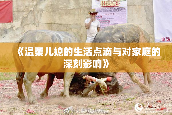 《温柔儿媳的生活点滴与对家庭的深刻影响》