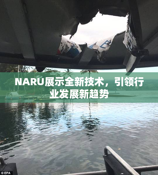 NARU展示全新技术，引领行业发展新趋势