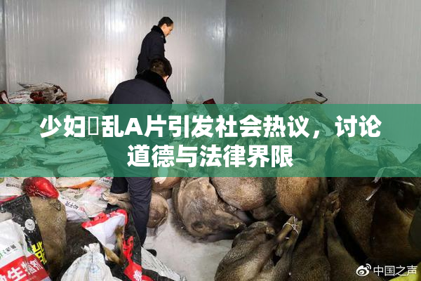 少妇婬乱A片引发社会热议，讨论道德与法律界限