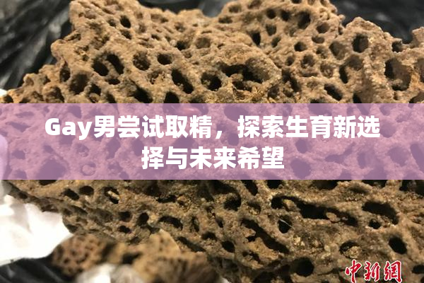 Gay男尝试取精，探索生育新选择与未来希望