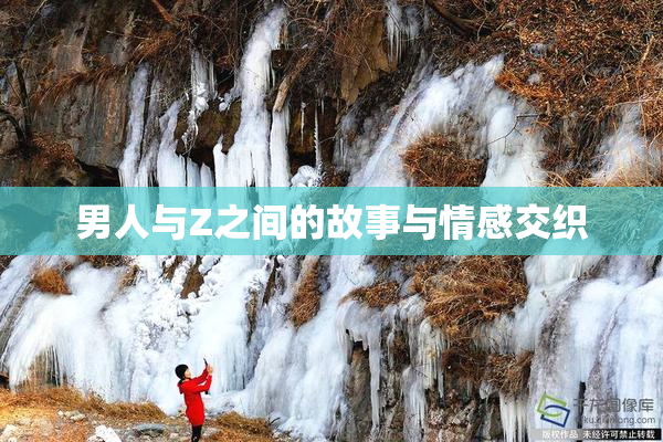 男人与Z之间的故事与情感交织