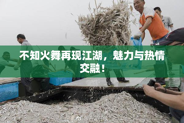 不知火舞再现江湖，魅力与热情交融！
