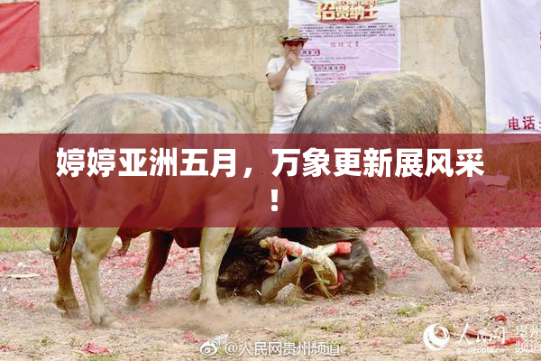 婷婷亚洲五月，万象更新展风采！