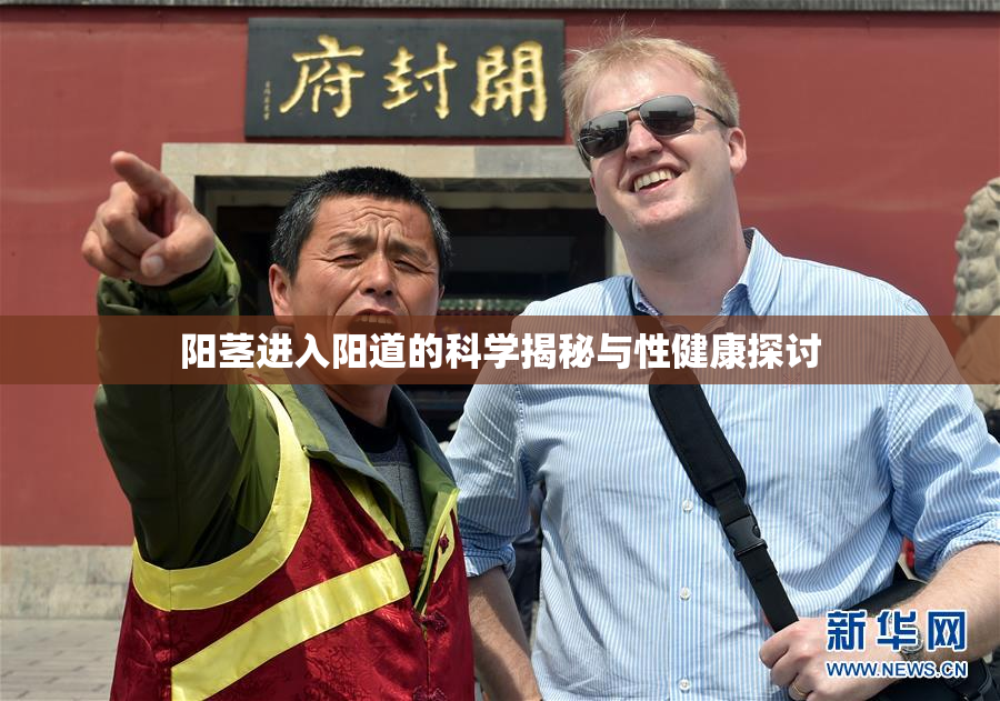 阳茎进入阳道的科学揭秘与性健康探讨