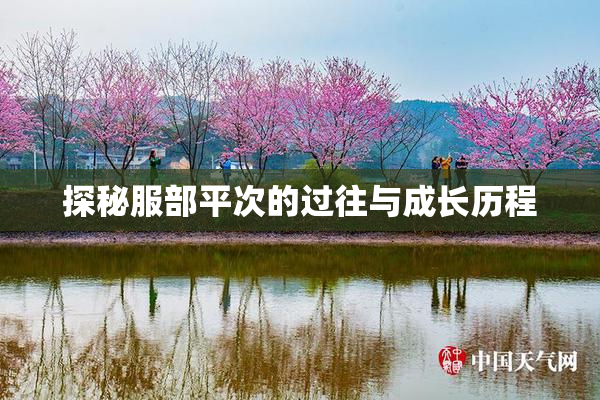 探秘服部平次的过往与成长历程