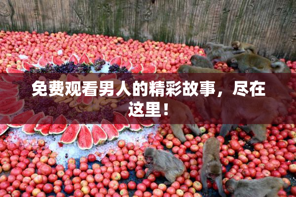 免费观看男人的精彩故事，尽在这里！