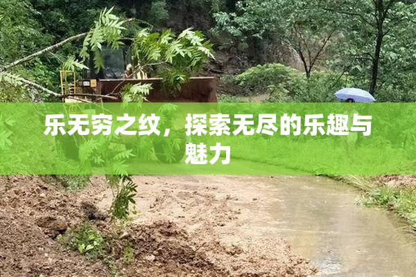 乐无穷之纹，探索无尽的乐趣与魅力