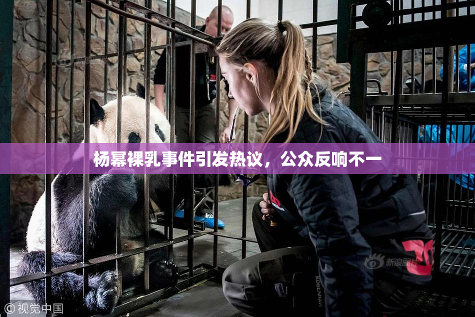 杨幂裸乳事件引发热议，公众反响不一