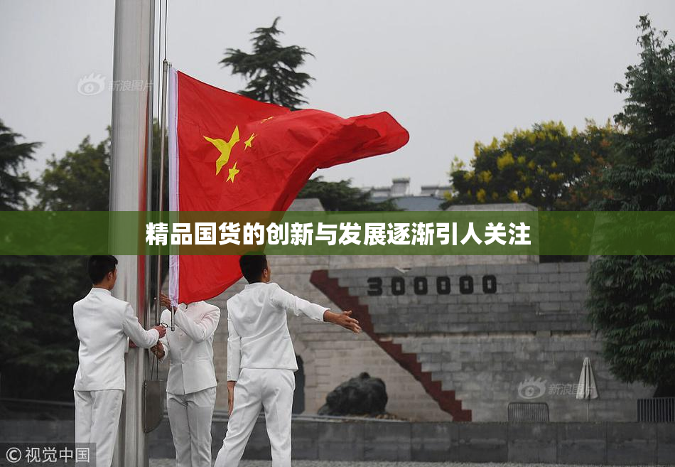 精品国货的创新与发展逐渐引人关注