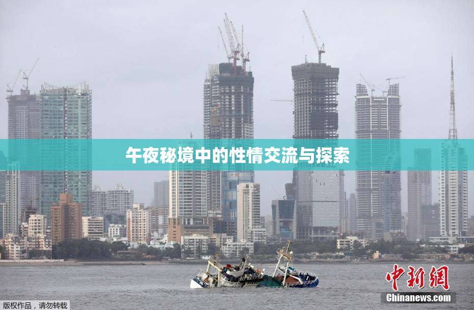午夜秘境中的性情交流与探索