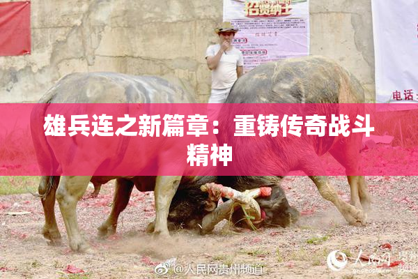 雄兵连之新篇章：重铸传奇战斗精神