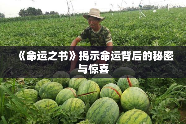 《命运之书》揭示命运背后的秘密与惊喜