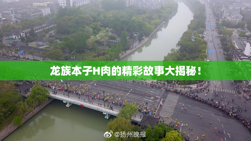 龙族本子H肉的精彩故事大揭秘！