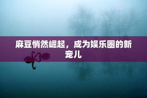 麻豆悄然崛起，成为娱乐圈的新宠儿