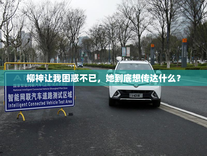柳神让我困惑不已，她到底想传达什么？