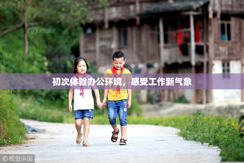 初次体验办公环境，感受工作新气象