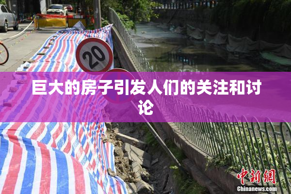 巨大的房子引发人们的关注和讨论