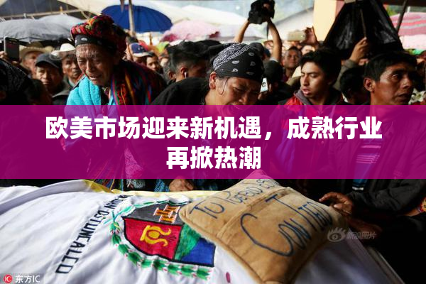 欧美市场迎来新机遇，成熟行业再掀热潮