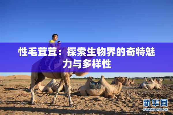 性毛茸茸：探索生物界的奇特魅力与多样性
