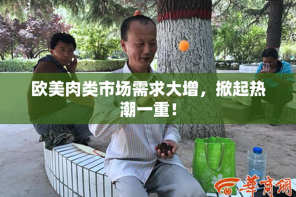 欧美肉类市场需求大增，掀起热潮一重！