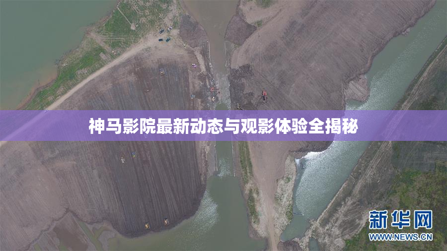 神马影院最新动态与观影体验全揭秘