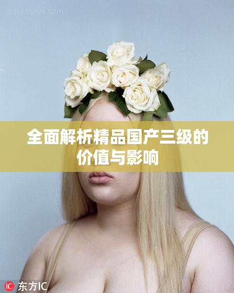 全面解析精品国产三级的价值与影响