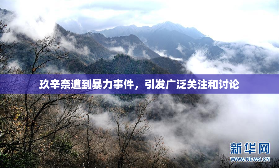 玖辛奈遭到暴力事件，引发广泛关注和讨论