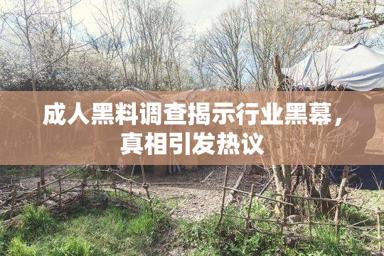 成人黑料调查揭示行业黑幕，真相引发热议