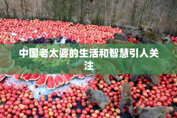 中国老太婆的生活和智慧引人关注