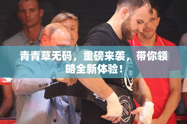 青青草无码，重磅来袭，带你领略全新体验！