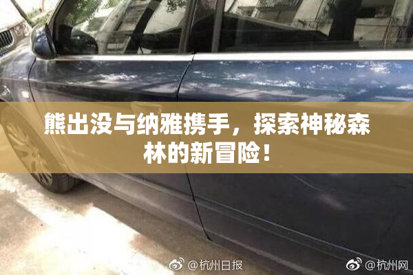 熊出没与纳雅携手，探索神秘森林的新冒险！