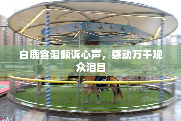 白鹿含泪倾诉心声，感动万千观众泪目