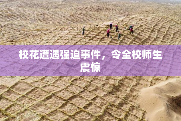 校花遭遇强迫事件，令全校师生震惊